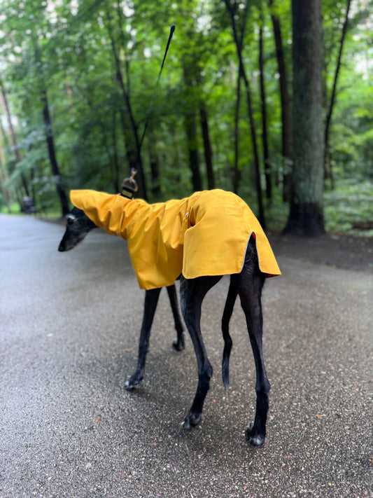 Dobby in Yellow