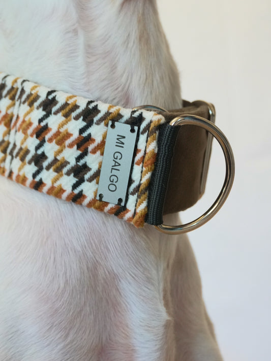 Amber collar detail on dog neck