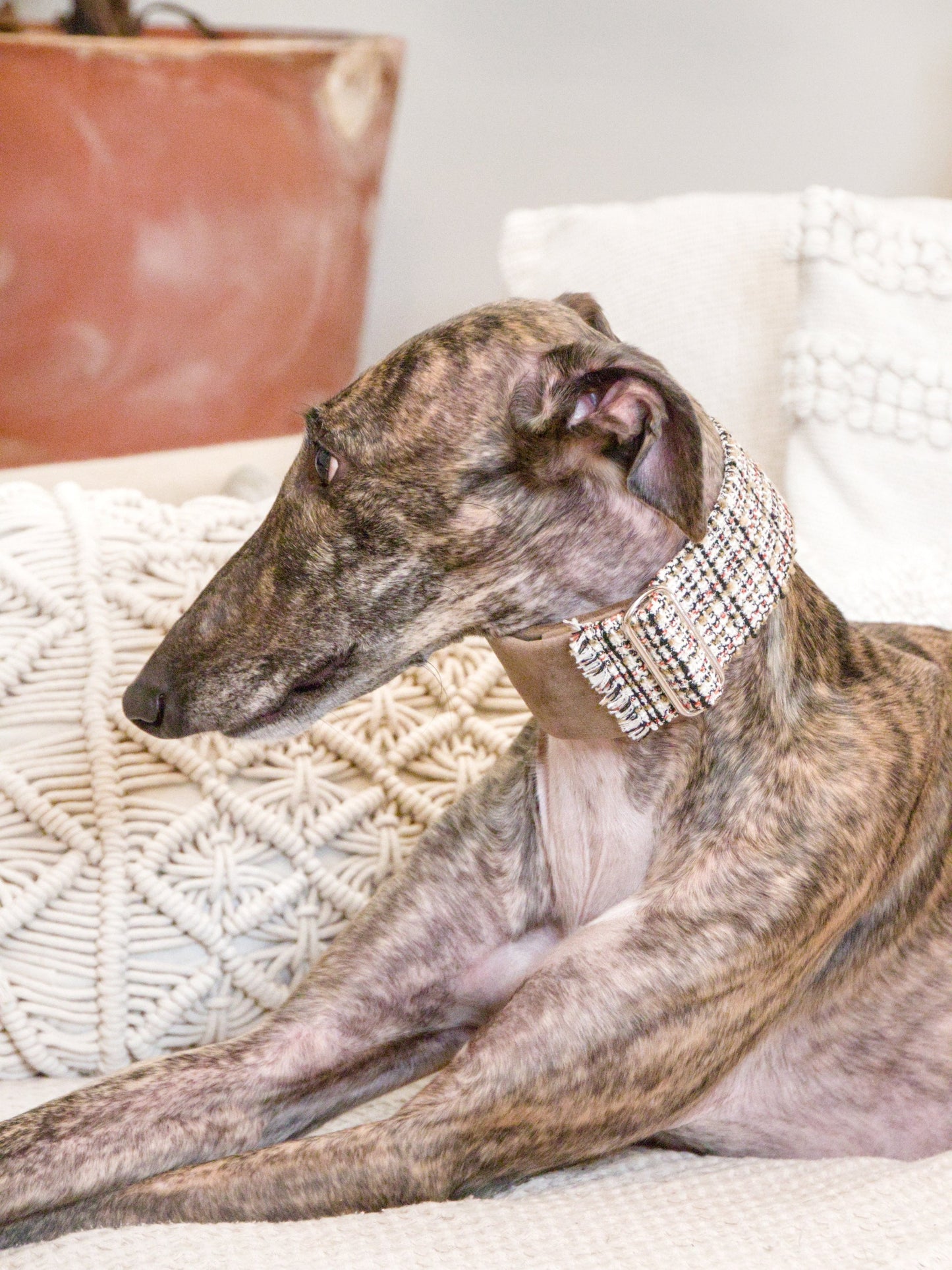 Urban Chic Tweed collar lifestyle close-up