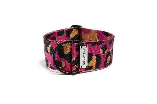 Leo Magenta Sighthound Collar