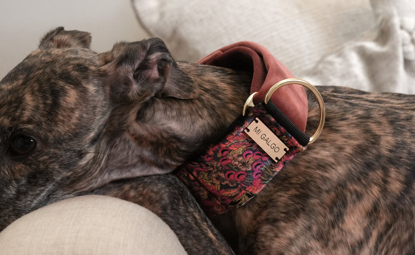 Velour Bloom Sighthound Collar