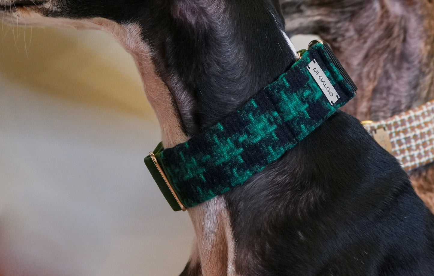 Evergreen Charm Sighthound Collar