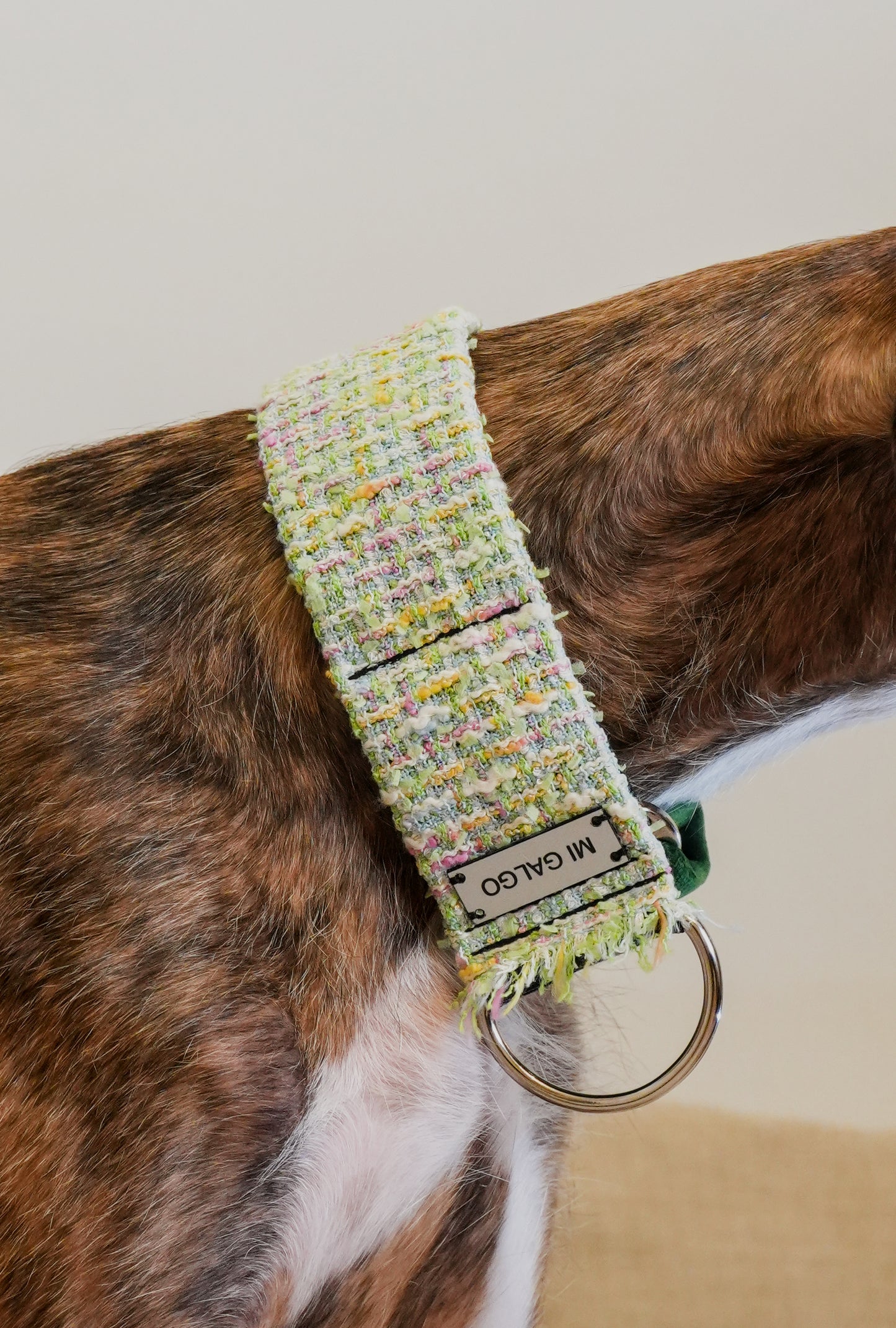 Blossom Tweed Sighthound Collar