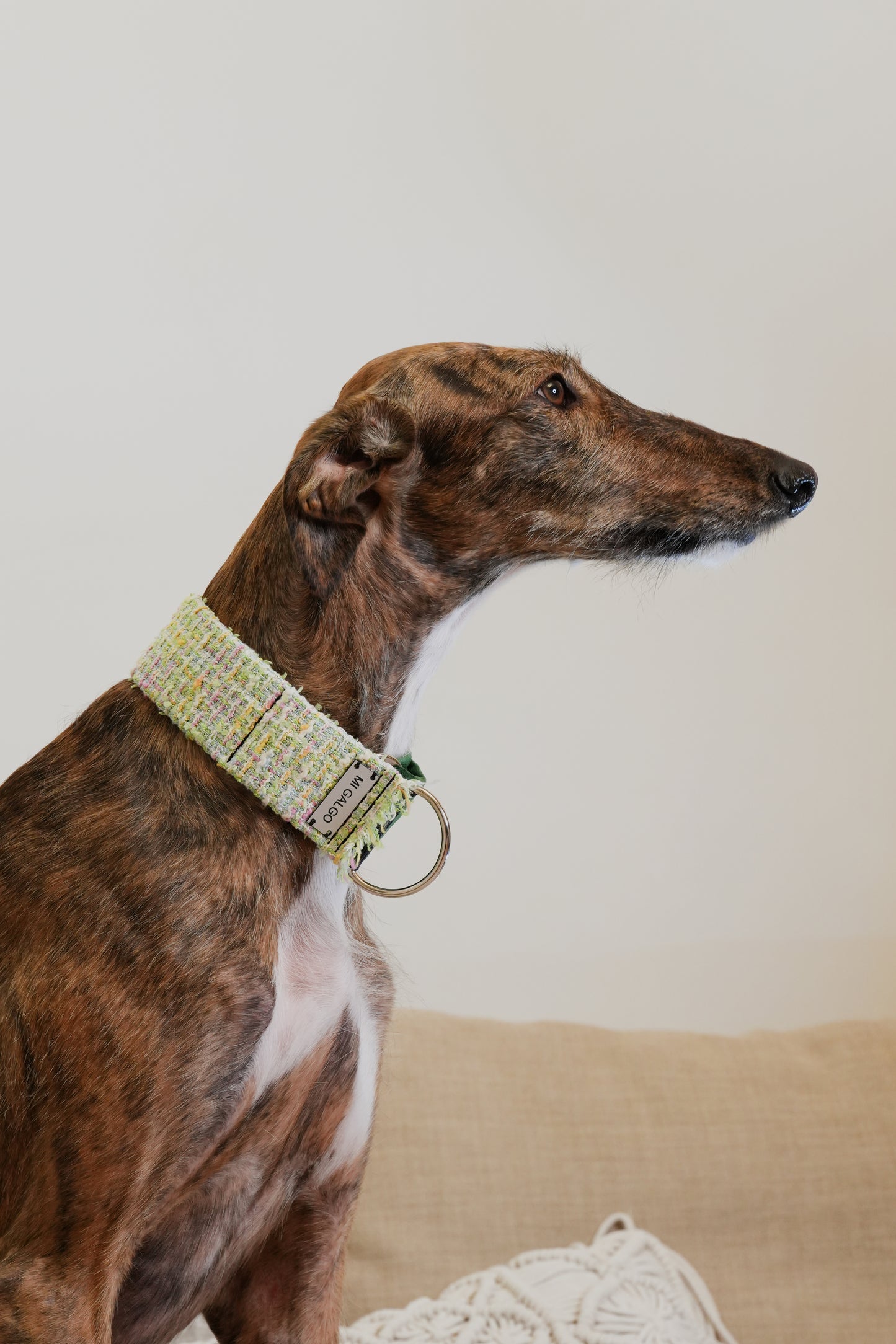 Blossom Tweed Sighthound Collar