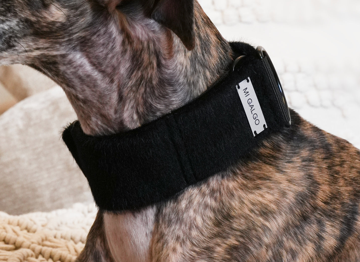 Faux Fur Noir Sighthound Collar