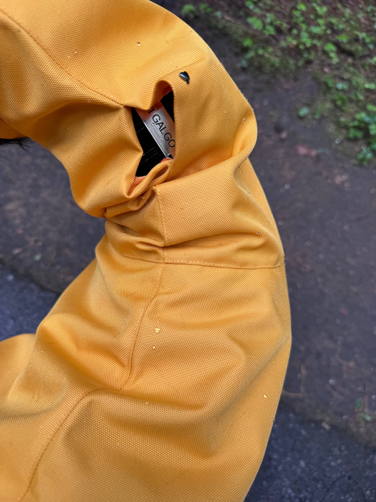 Dobby in Yellow