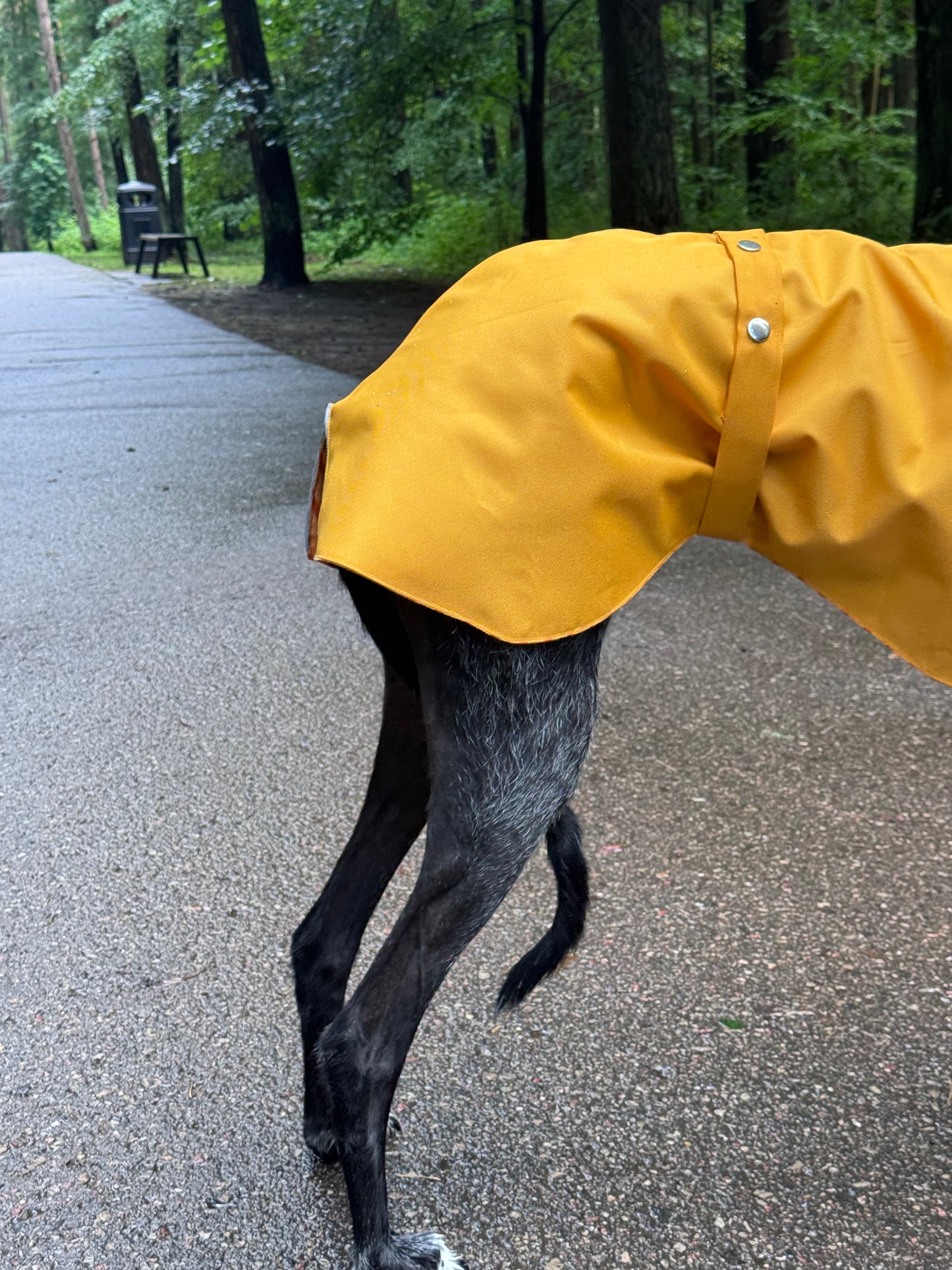 Dobby in Yellow