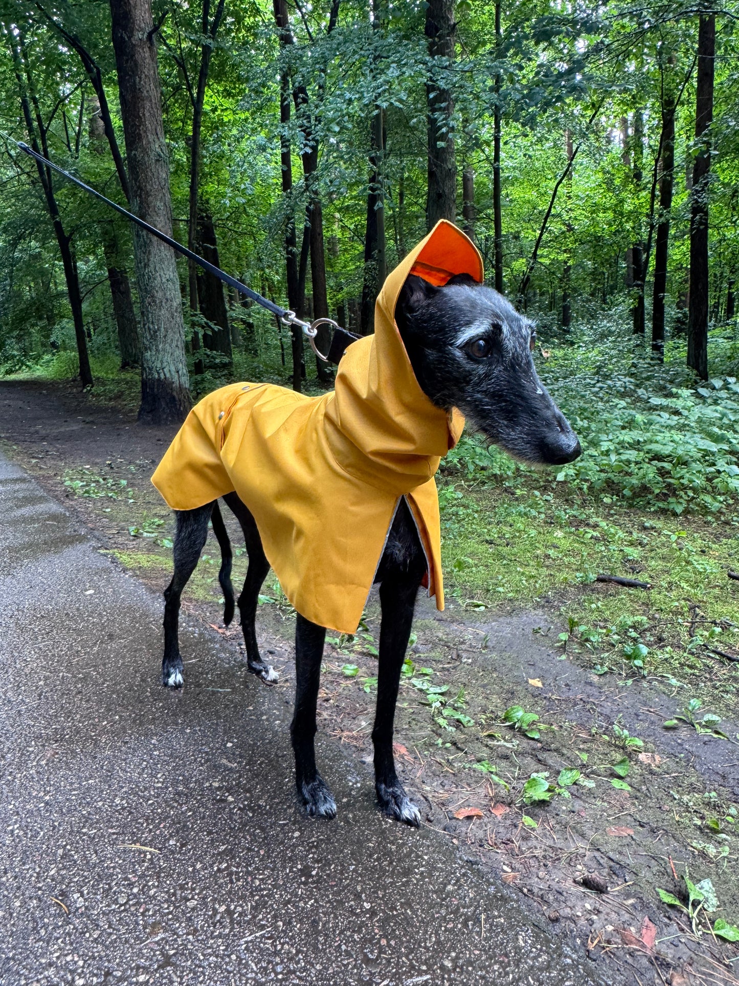 Dobby in Yellow