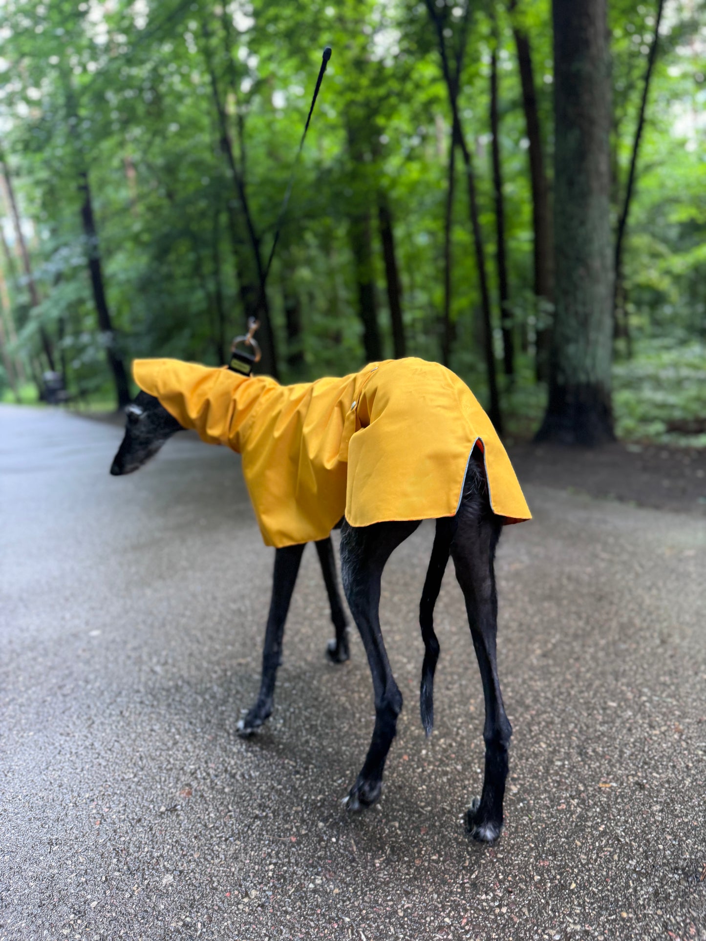 Dobby in Yellow