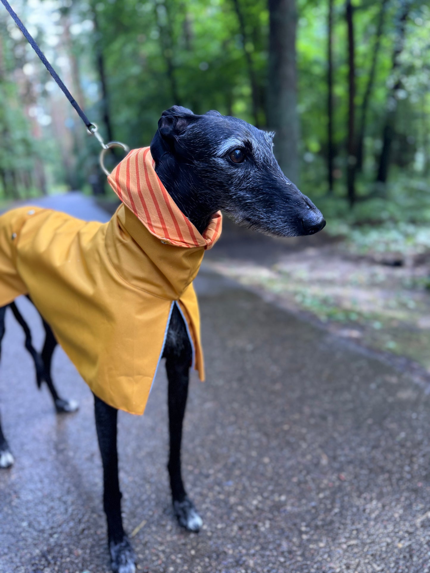Dobby in Yellow