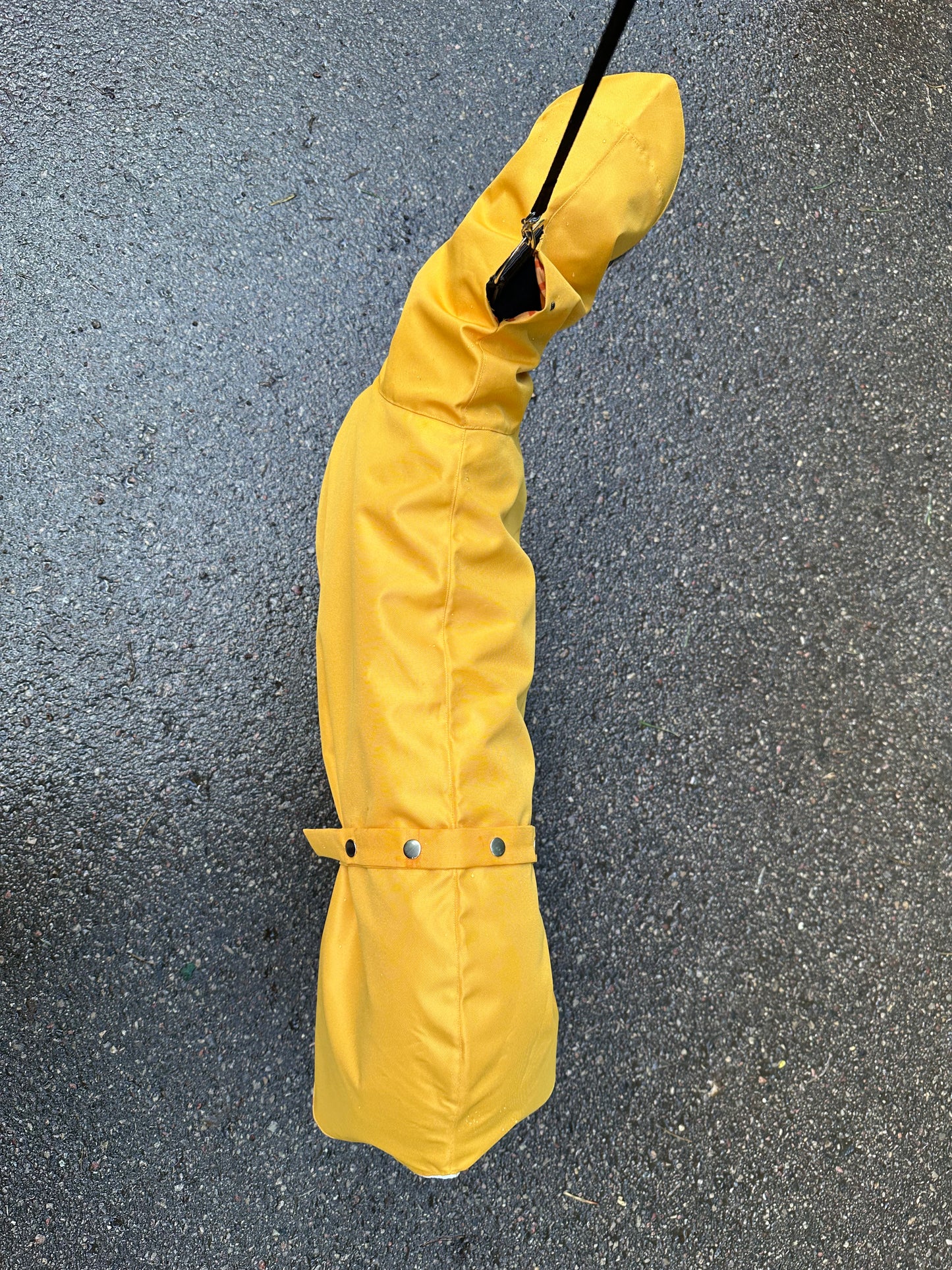 Dobby in Yellow