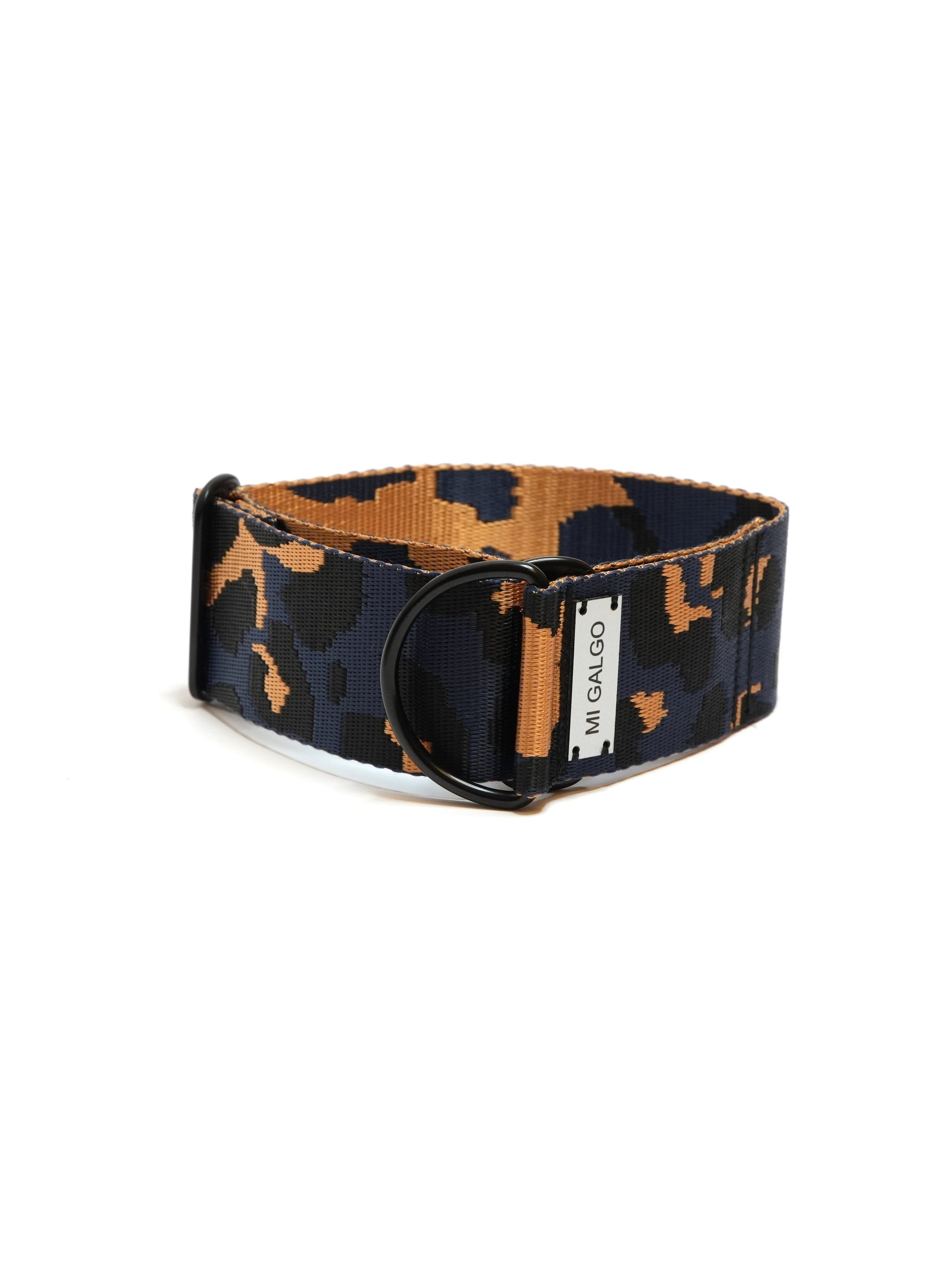Azul Oxford Leo sighthound collar - product view