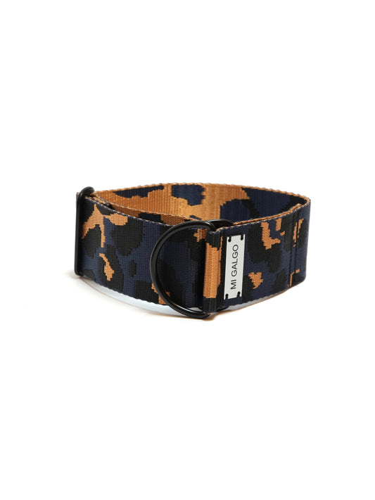 Azul Oxford Leo sighthound collar - product view