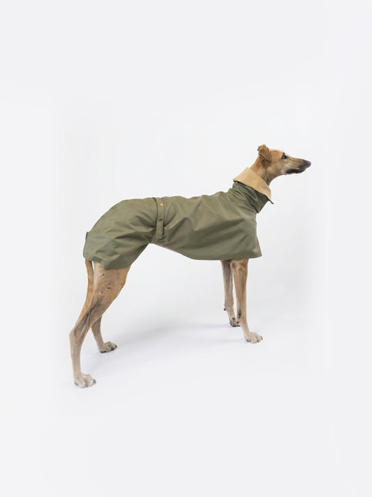 Django in Green