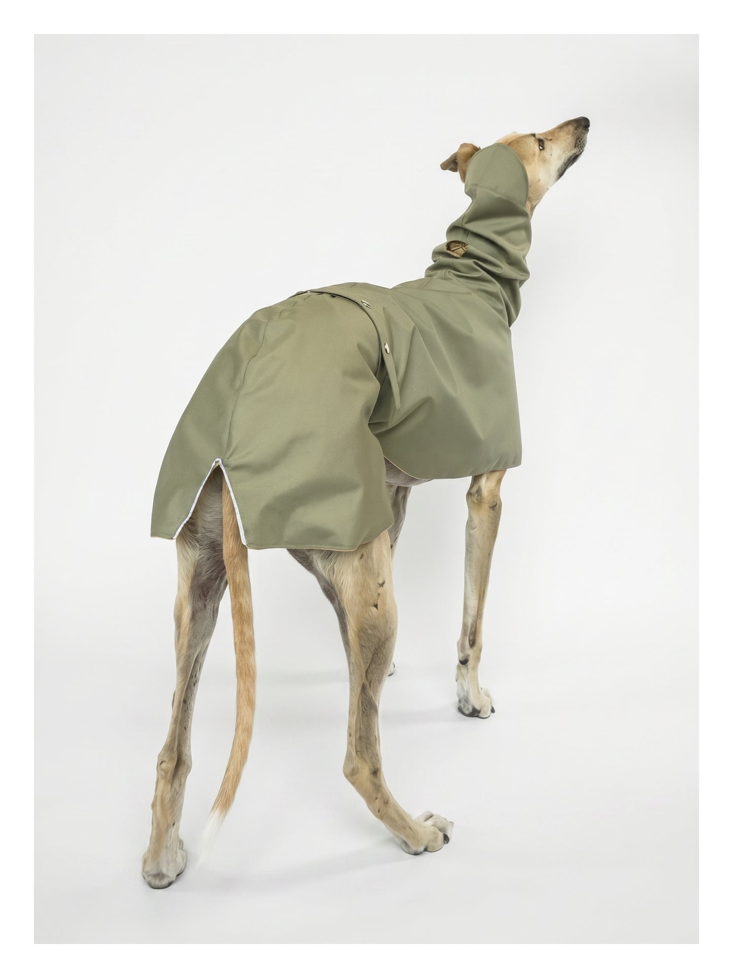 Django in Green
