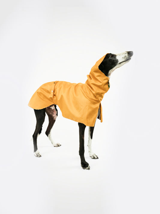 Dobby in Yellow