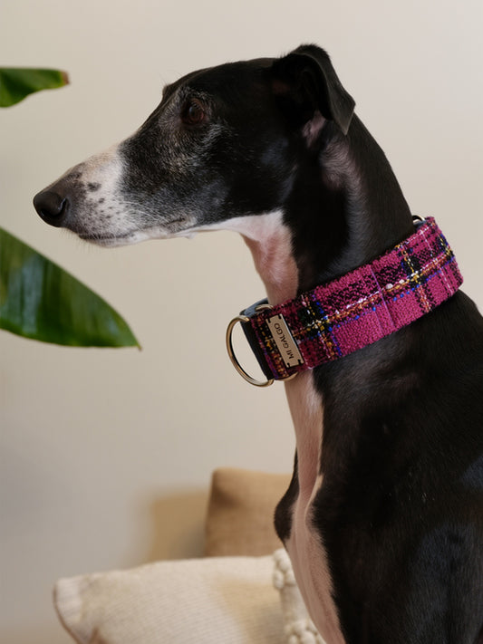 Fuchsia Harmony Tweed