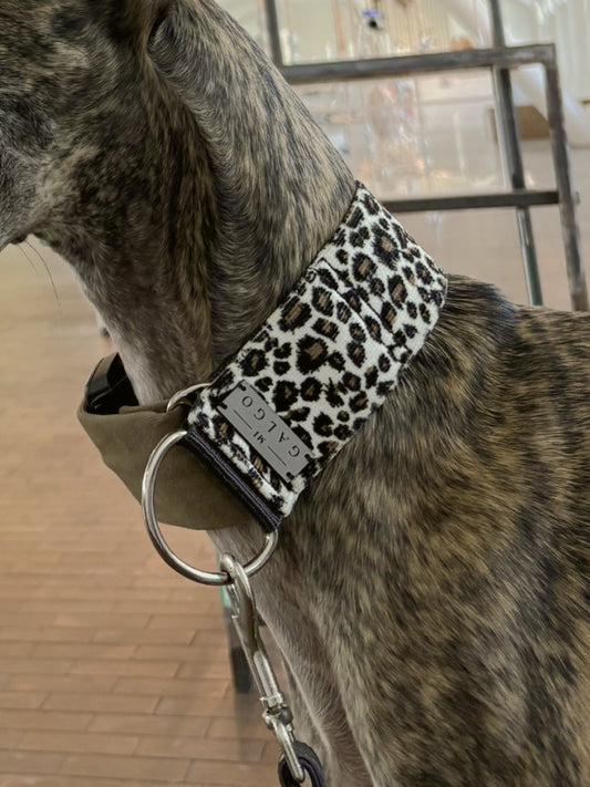 Brindle galgo wearing the Peggy leopard print collar, side view