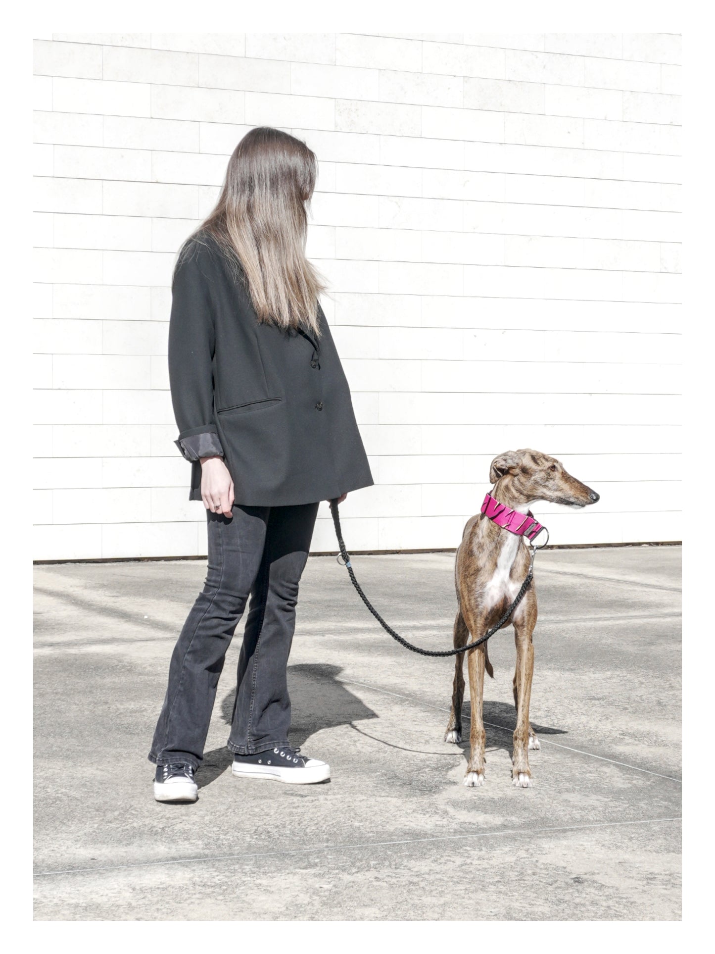 Radiant Pink Hound