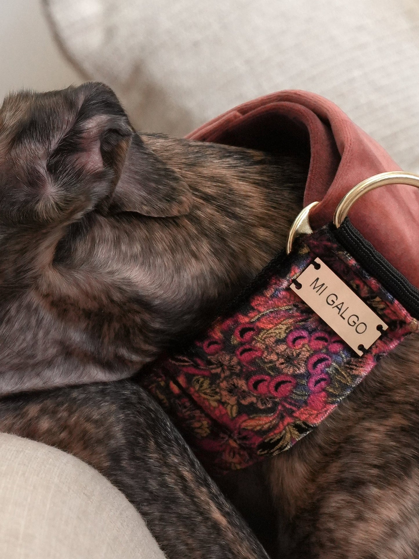 Velour Blossom collar close-up detail
