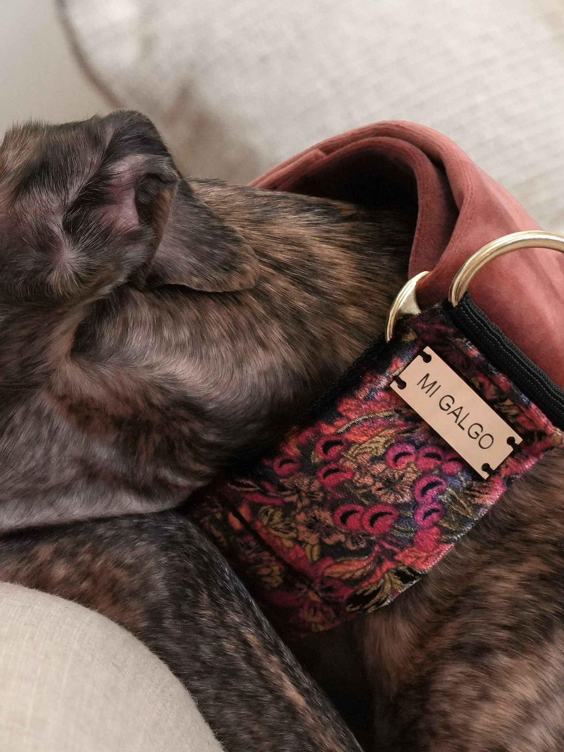 Velour Blossom collar close-up detail