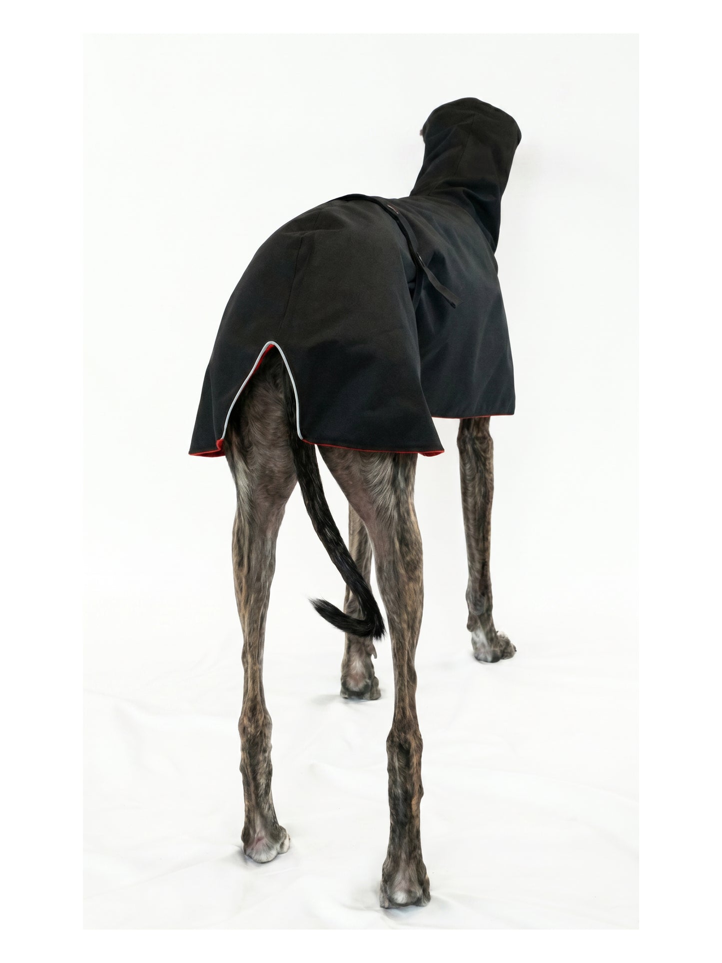 Zamza in Black